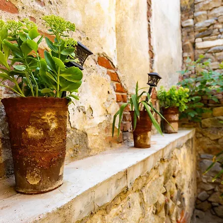 Private House In The Center Of Апартаменти *