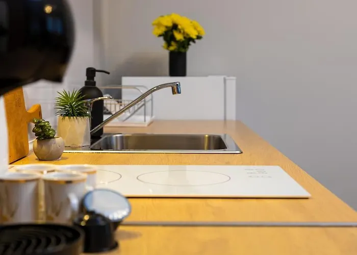 Private House In The Center Of Пловдив